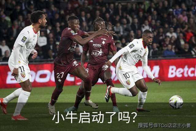 小牛启动了吗？